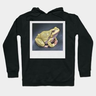 Meditating Frog Cute Photograph Peace & Love Picture Hoodie
